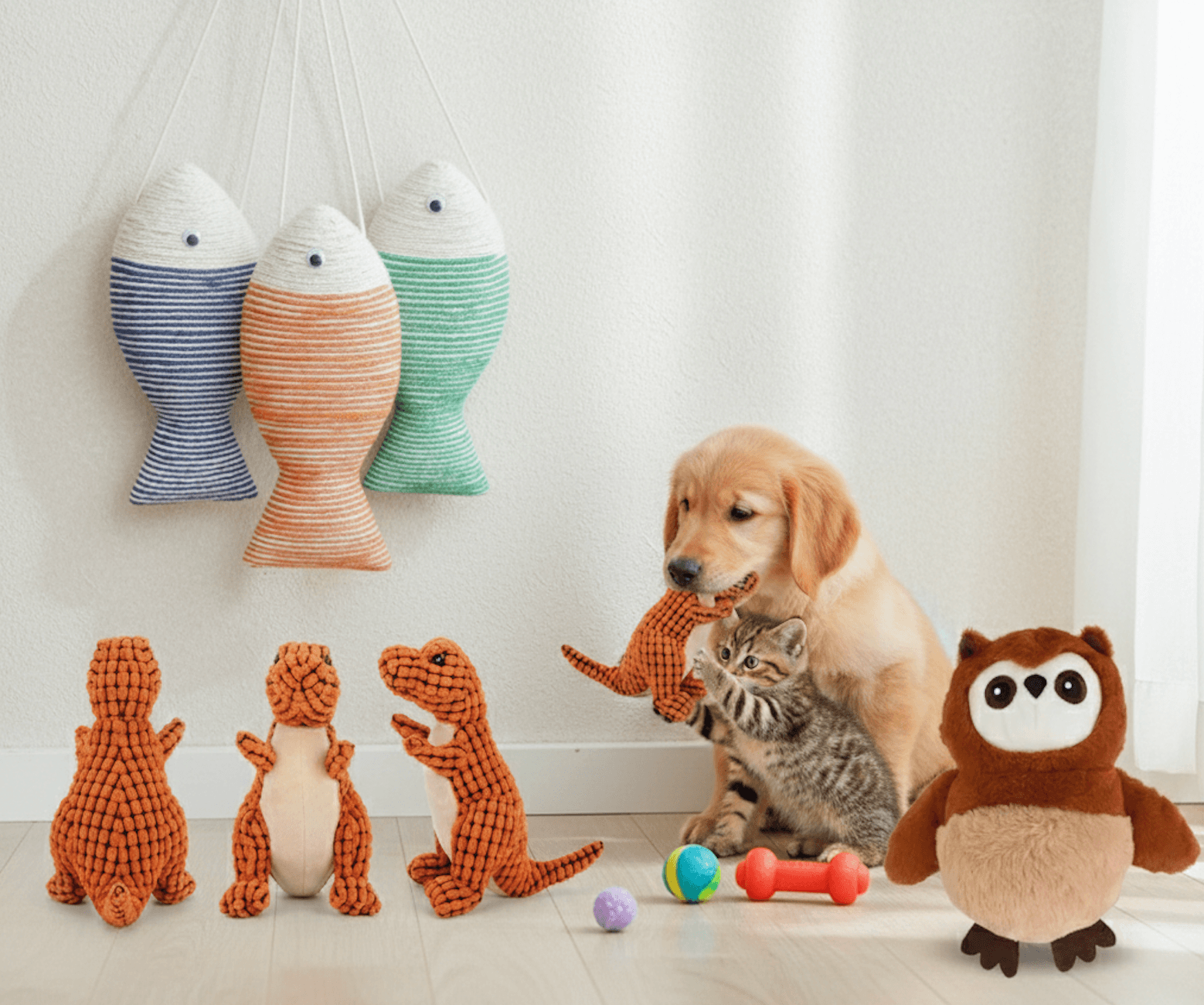 Interactive Play & Toys